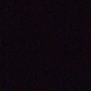 Meet your Posher, Penny